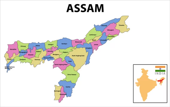 assam goods and service tax act 2017