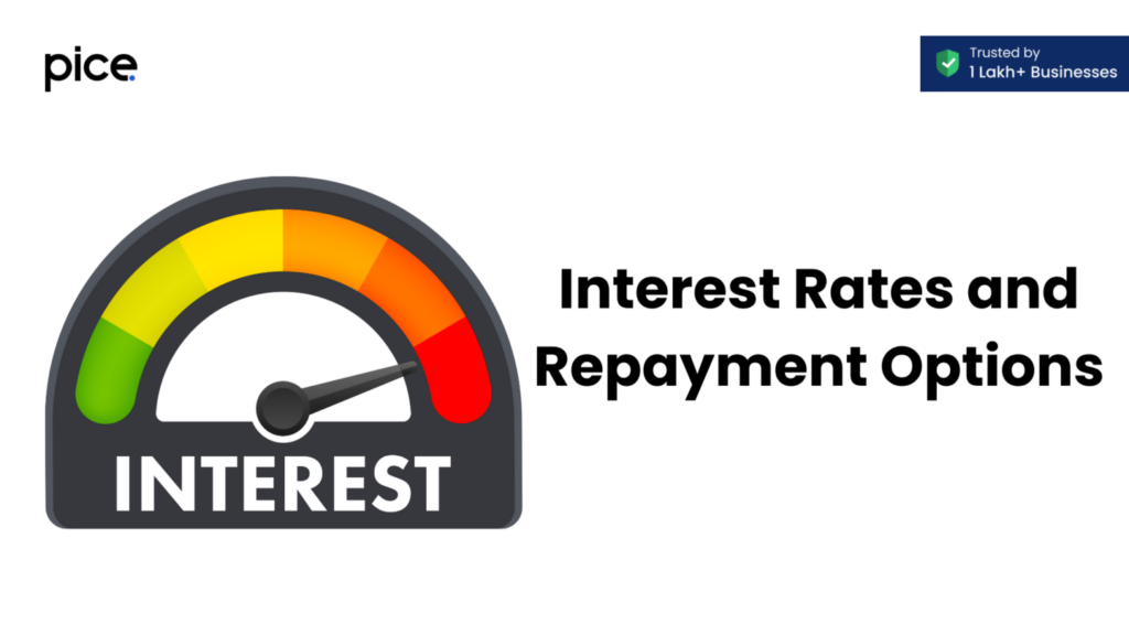 Interest Rates and Repayment Options for Business Loans