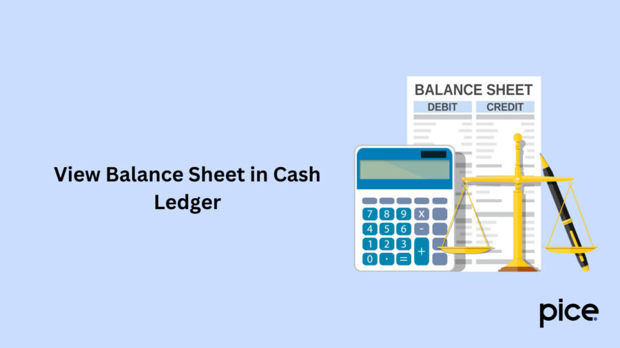 view balance sheet in cash ledger