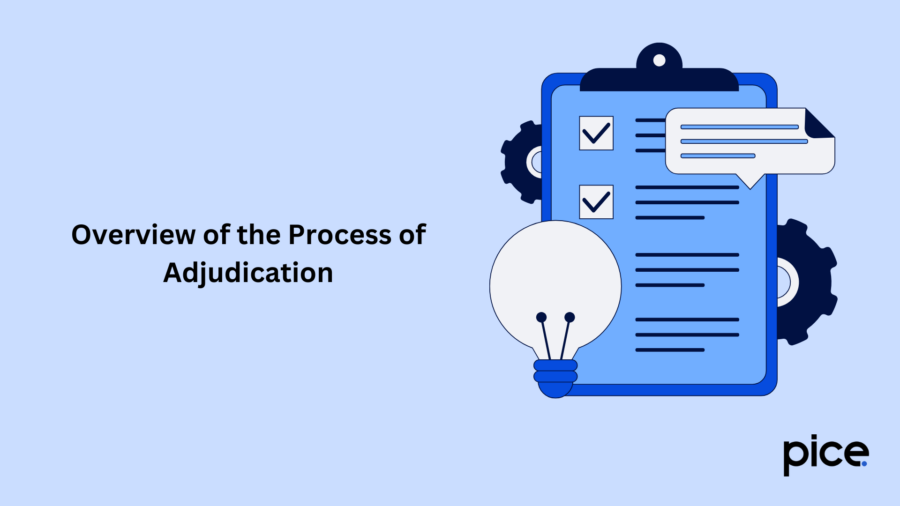 Overview of the Process of Adjudication