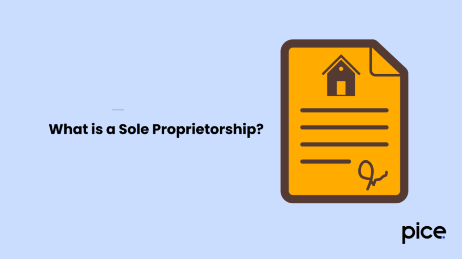 What is a Sole Proprietorship?