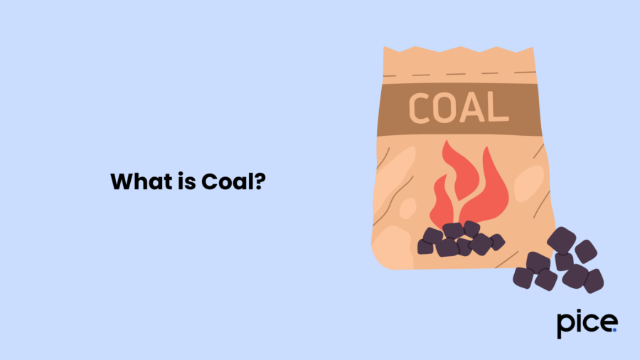 What is Coal?