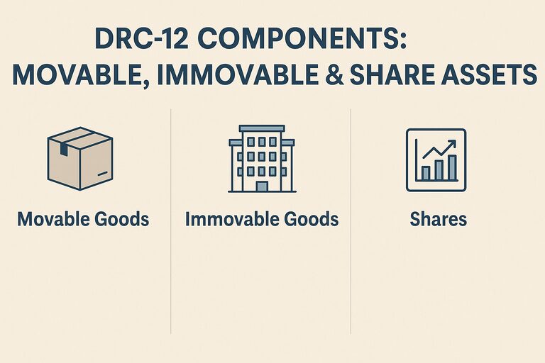 Components of the DRC 12 in GST