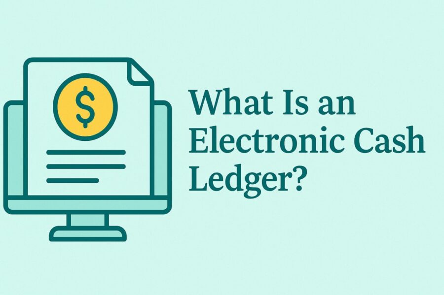 What Is an Electronic Cash Ledger?